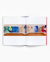 Load image into Gallery viewer, James Rosenquist: Collages, Drawings and Paintings In Process
